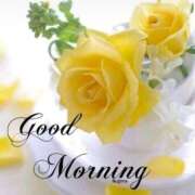 ヒメ日記 2025/07/17 10:04 投稿 三木 MadameRest(マダムレスト)