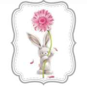 ヒメ日記 2025/07/17 16:20 投稿 三木 MadameRest(マダムレスト)