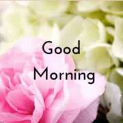 ヒメ日記 2025/07/19 07:39 投稿 三木 MadameRest(マダムレスト)