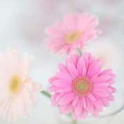 ヒメ日記 2025/07/21 15:34 投稿 三木 MadameRest(マダムレスト)