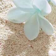 ヒメ日記 2025/07/23 17:15 投稿 三木 MadameRest(マダムレスト)