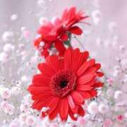 ヒメ日記 2025/07/24 10:44 投稿 三木 MadameRest(マダムレスト)