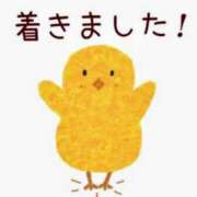 ヒメ日記 2025/07/29 15:48 投稿 三木 MadameRest(マダムレスト)