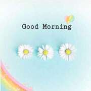 ヒメ日記 2025/07/31 07:39 投稿 三木 MadameRest(マダムレスト)