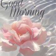 ヒメ日記 2025/08/02 07:40 投稿 三木 MadameRest(マダムレスト)