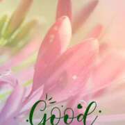 ヒメ日記 2025/08/07 10:51 投稿 三木 MadameRest(マダムレスト)