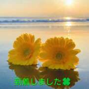 ヒメ日記 2025/08/13 15:26 投稿 三木 MadameRest(マダムレスト)