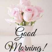 ヒメ日記 2025/08/17 10:16 投稿 三木 MadameRest(マダムレスト)