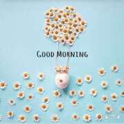 ヒメ日記 2025/08/18 07:07 投稿 三木 MadameRest(マダムレスト)