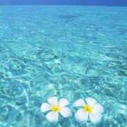 ヒメ日記 2025/08/18 13:41 投稿 三木 MadameRest(マダムレスト)