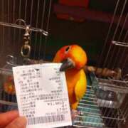 ヒメ日記 2025/08/19 01:33 投稿 三木 MadameRest(マダムレスト)