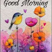 ヒメ日記 2025/08/20 10:01 投稿 三木 MadameRest(マダムレスト)