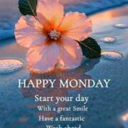 ヒメ日記 2025/08/25 08:53 投稿 三木 MadameRest(マダムレスト)