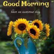 ヒメ日記 2025/08/26 09:00 投稿 三木 MadameRest(マダムレスト)