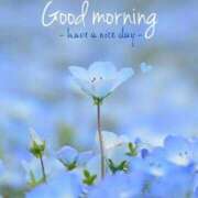 ヒメ日記 2025/08/28 10:14 投稿 三木 MadameRest(マダムレスト)