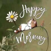 ヒメ日記 2025/08/31 10:50 投稿 三木 MadameRest(マダムレスト)