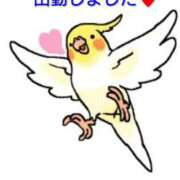 ヒメ日記 2025/08/31 16:03 投稿 三木 MadameRest(マダムレスト)