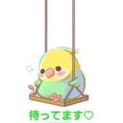 ヒメ日記 2025/08/31 21:18 投稿 三木 MadameRest(マダムレスト)