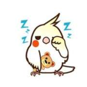 ヒメ日記 2025/09/01 20:55 投稿 三木 MadameRest(マダムレスト)