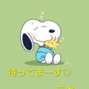 ヒメ日記 2025/09/04 10:04 投稿 三木 MadameRest(マダムレスト)