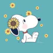 ヒメ日記 2025/09/06 16:19 投稿 三木 MadameRest(マダムレスト)