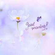 ヒメ日記 2025/09/07 08:59 投稿 三木 MadameRest(マダムレスト)