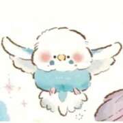 ヒメ日記 2025/09/08 19:51 投稿 三木 MadameRest(マダムレスト)