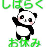 ヒメ日記 2025/09/14 07:23 投稿 三木 MadameRest(マダムレスト)