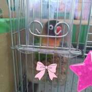 ヒメ日記 2025/09/15 17:54 投稿 三木 MadameRest(マダムレスト)