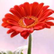 ヒメ日記 2025/09/19 09:05 投稿 三木 MadameRest(マダムレスト)