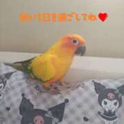 ヒメ日記 2025/10/03 08:43 投稿 三木 MadameRest(マダムレスト)