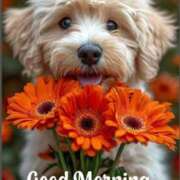 ヒメ日記 2025/10/12 09:22 投稿 三木 MadameRest(マダムレスト)