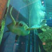 ヒメ日記 2025/10/20 10:49 投稿 三木 MadameRest(マダムレスト)