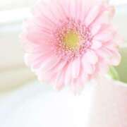 ヒメ日記 2025/10/23 07:42 投稿 三木 MadameRest(マダムレスト)