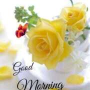 ヒメ日記 2025/10/25 05:59 投稿 三木 MadameRest(マダムレスト)