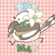 ヒメ日記 2025/10/27 14:57 投稿 三木 MadameRest(マダムレスト)