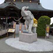 ヒメ日記 2025/11/02 18:54 投稿 三木 MadameRest(マダムレスト)