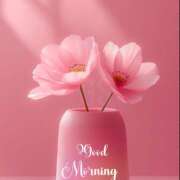 ヒメ日記 2025/11/05 08:22 投稿 三木 MadameRest(マダムレスト)