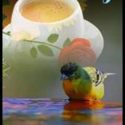 ヒメ日記 2025/11/10 08:40 投稿 三木 MadameRest(マダムレスト)