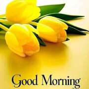 ヒメ日記 2025/11/12 10:39 投稿 三木 MadameRest(マダムレスト)