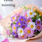 ヒメ日記 2025/11/13 07:30 投稿 三木 MadameRest(マダムレスト)