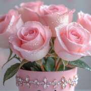 ヒメ日記 2025/11/18 08:26 投稿 三木 MadameRest(マダムレスト)