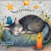 ヒメ日記 2025/11/19 00:54 投稿 三木 MadameRest(マダムレスト)