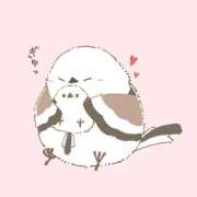 ヒメ日記 2025/11/19 15:30 投稿 三木 MadameRest(マダムレスト)