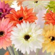 ヒメ日記 2025/11/20 08:34 投稿 三木 MadameRest(マダムレスト)