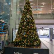 ヒメ日記 2025/11/21 16:54 投稿 三木 MadameRest(マダムレスト)