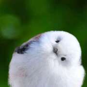 ヒメ日記 2025/11/23 15:36 投稿 三木 MadameRest(マダムレスト)