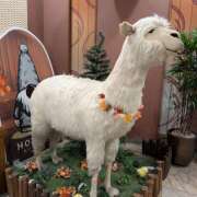 ヒメ日記 2025/11/25 08:03 投稿 三木 MadameRest(マダムレスト)