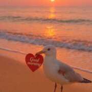 ヒメ日記 2025/12/04 07:09 投稿 三木 MadameRest(マダムレスト)