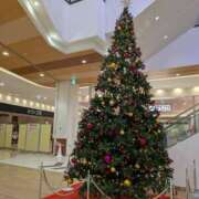 ヒメ日記 2025/12/09 07:44 投稿 三木 MadameRest(マダムレスト)